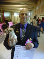 /album/exposicion-internacional-canina-valls-2012-shanoa-de-los-reyes-del-nueve/valls-20120129-00058web-jpg/