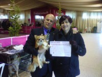 /album/exposicion%20internacional%20canina%20valls%202012%20%20milu%20de%20heport-can%20exc%201%c2%ba%20cac%20cacib%20mr/valls-20120129-00061web-jpg/