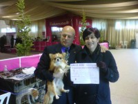 /album/exposicion%20internacional%20canina%20valls%202012%20%20milu%20de%20heport-can%20exc%201%c2%ba%20cac%20cacib%20mr/valls-20120129-00059web-jpg/