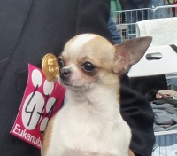 /album/shanoa-de-los-reyes-del-nueve-23-04-2011-/p1020528web-jpg/