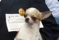 /album/shanoa-de-los-reyes-del-nueve-23-04-2011-/p1020530web-jpg/