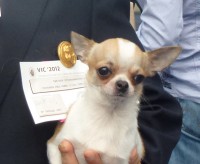 /album/shanoa-de-los-reyes-del-nueve-23-04-2011-/p1020533web-jpg/