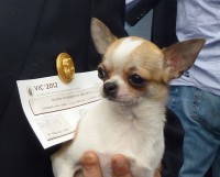 /album/shanoa-de-los-reyes-del-nueve-23-04-2011-/p1020536web-jpg/