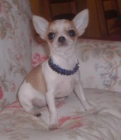 /album/shanoa-de-los-reyes-del-nueve-23-04-2011-/dscf4899web-jpg/