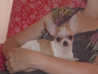 /album/shanoa-de-los-reyes-del-nueve-23-04-2011-/dscf4877-jpg/