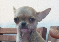 /album/prince-de-heport-can-the-sound-of-silence-de-joletacan-/p1030620web-jpg/